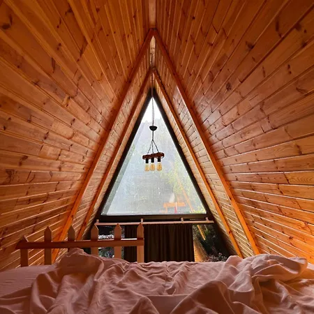 Dimcayi Yagiz 阿拉尼亚