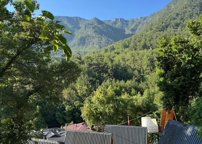 Dimcayi Yagiz Hotel 5*