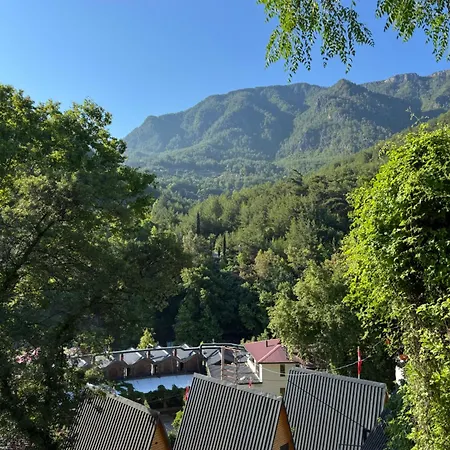 Dimçayı Yağız